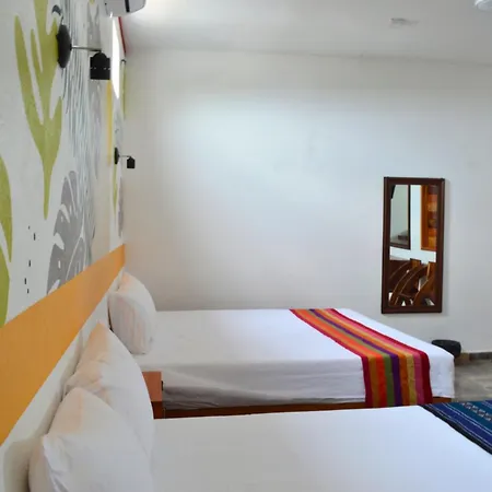 Hotel Axolotl-3