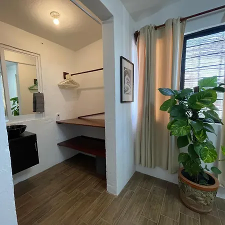 Casa Jaguares-3